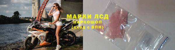 ГАЛЛЮЦИНОГЕННЫЕ ГРИБЫ Абаза