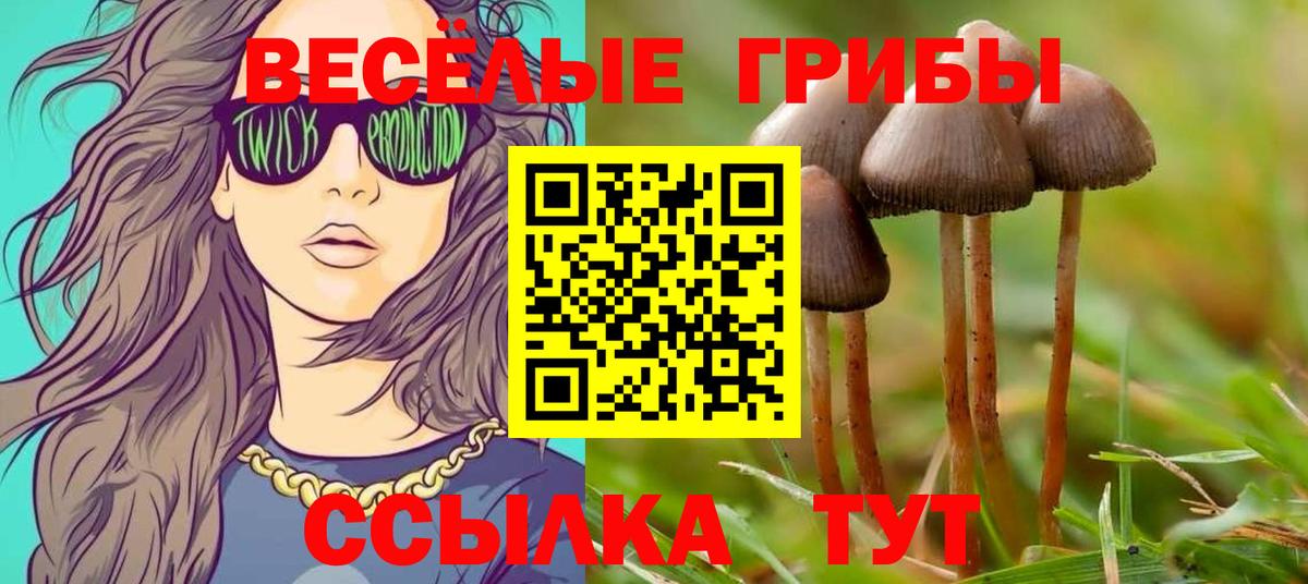 Северодвинск  Галлюциногенные грибы Magic Shrooms  Вход с VPN 
